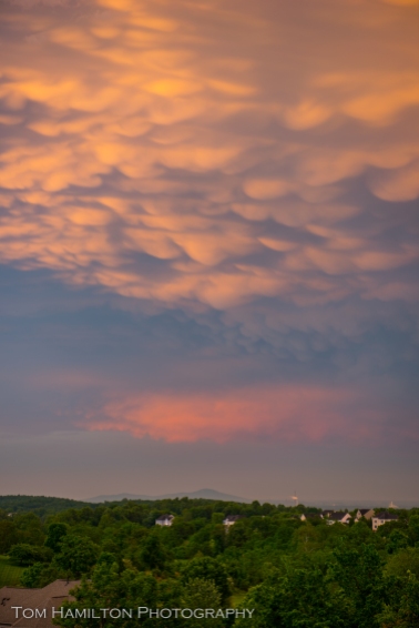 Zoomed in, its clear to see the puffy mamatus clouds drooping beneath the thunder head. In the distance is Sugarloaf Mountain and Dickerson, Maryland