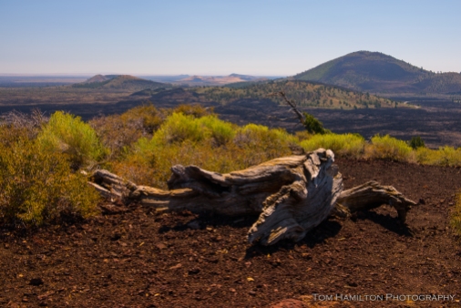 View from atop a volcanic cinder cone in Craters of the Moon National Monument