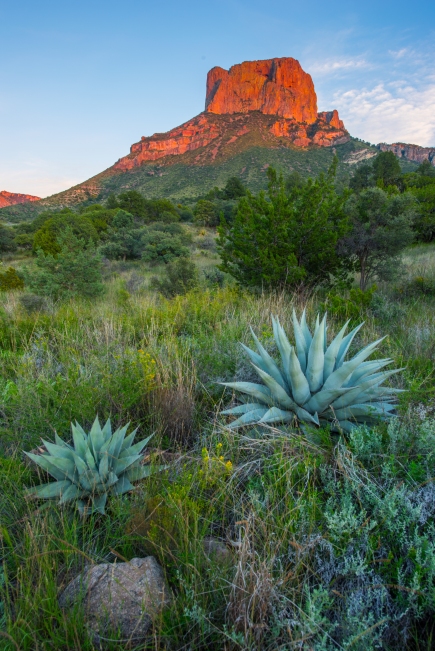 Alpenglow on Casa Grande in the Chisos Mountains. Beautiful scenery is pervasive in Big Bend.