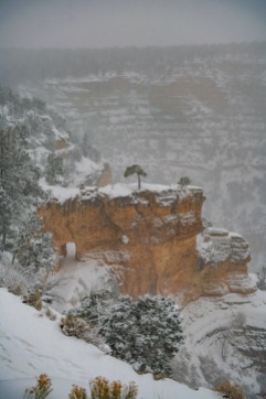 Bright Angel Trail. While very white, not so bright [on this day].